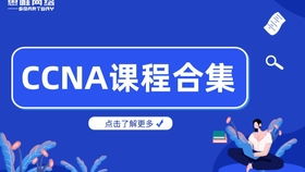 思唯网络工程师培训 网络的标准化 osi参考模型